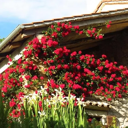 Poolhouse Vakantiehuis *