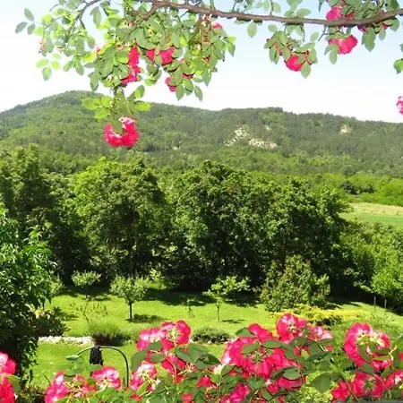 Poolhouse Tatil Evi Roč